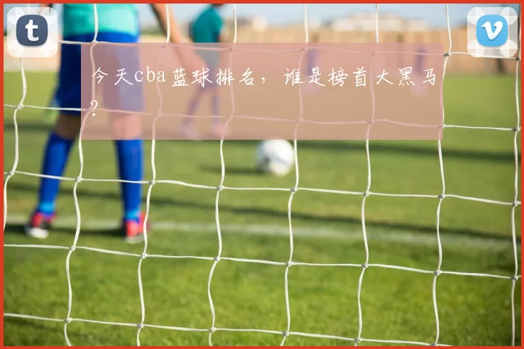 今天cba蓝球排名，谁是榜首大黑马？